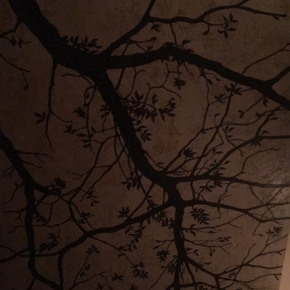 Meet your Posher, Holly